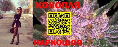 гашик Пенза