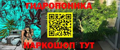 jwh Партизанск