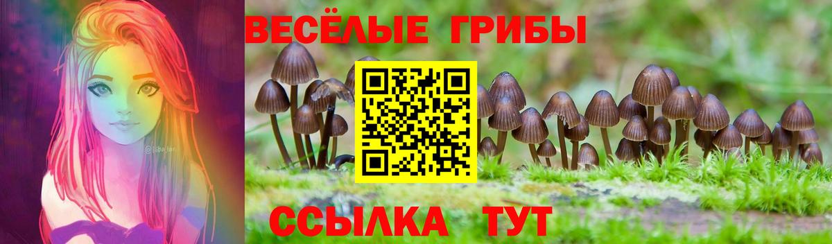 Приморско-Ахтарск  Галлюциногенные грибы Cubensis  Псилоцибиновые грибы Cubensis  Вход с VPN 